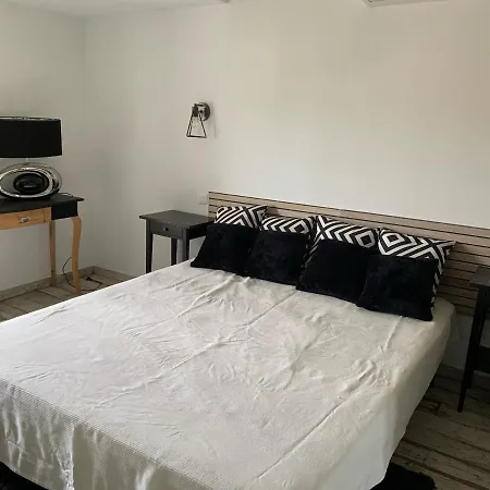 アパート Les Dahlias 4 Personnes Jacuzzi Barbecue Jardin Arbore Climatise