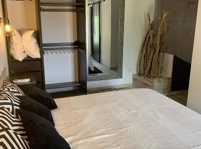 Les Dahlias 4 Personnes Jacuzzi Barbecue Jardin Arbore Climatise アグド