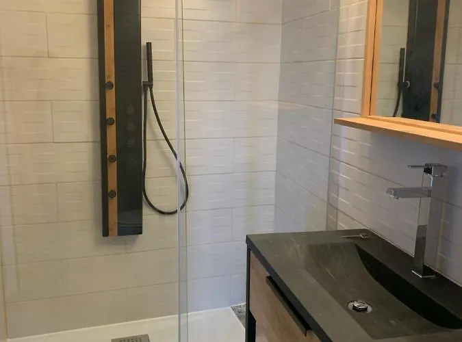 アパート Les Dahlias 4 Personnes Jacuzzi Barbecue Jardin Arbore Climatise アグド