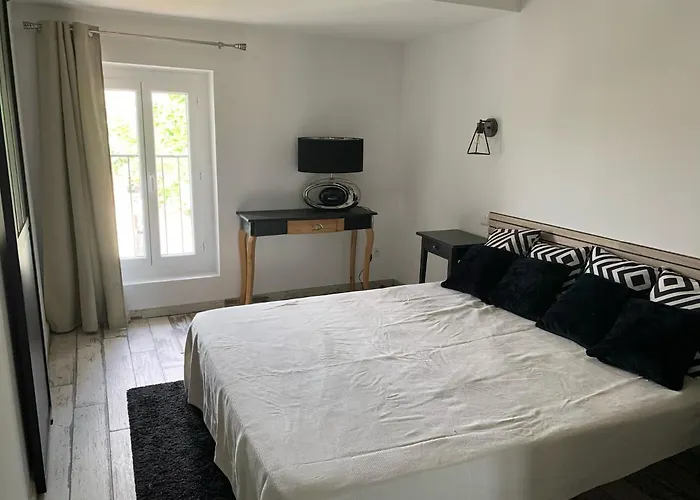 Les Dahlias 4 Personnes Jacuzzi Barbecue Jardin Arbore Climatise * アグド