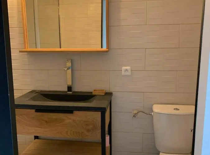 Апартаменти Les Dahlias 4 Personnes Jacuzzi Barbecue Jardin Arbore Climatise Агд