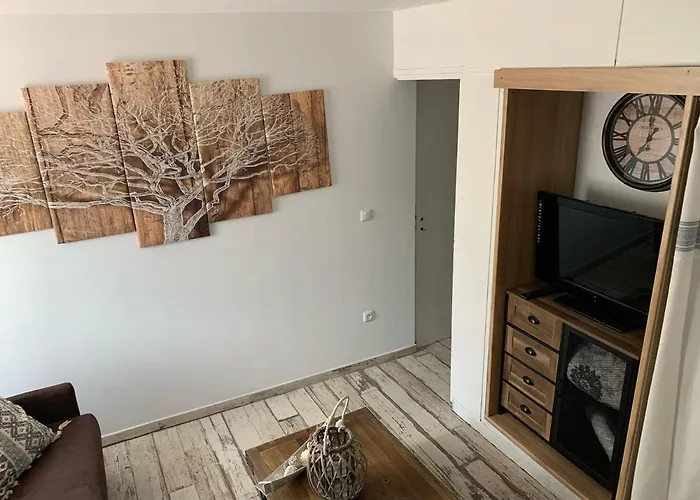 Les Dahlias 4 Personnes Jacuzzi Barbecue Jardin Arbore Climatise Апартаменти *