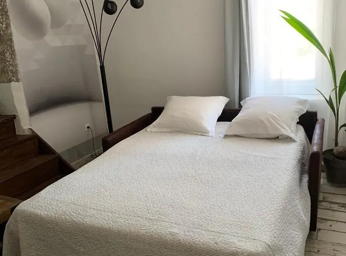 Appartement Les Dahlias 4 Personnes Jacuzzi Barbecue Jardin Arboré Climatisé